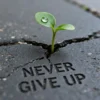 never give up images