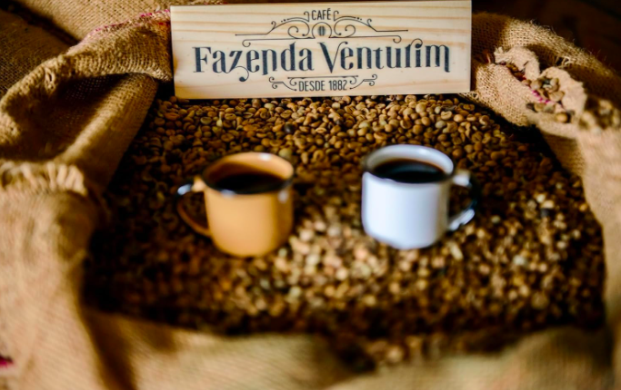 café especial em grãos, 1kg café especial em grãos, 1kg