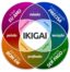 logo ikigai store